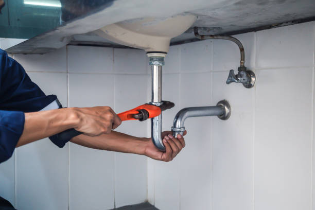 Best Local Plumber Services  in Silver Springs, FL