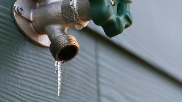 Best Shower Repair Services  in Silver Springs, FL